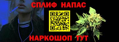 гидра Гусиноозёрск