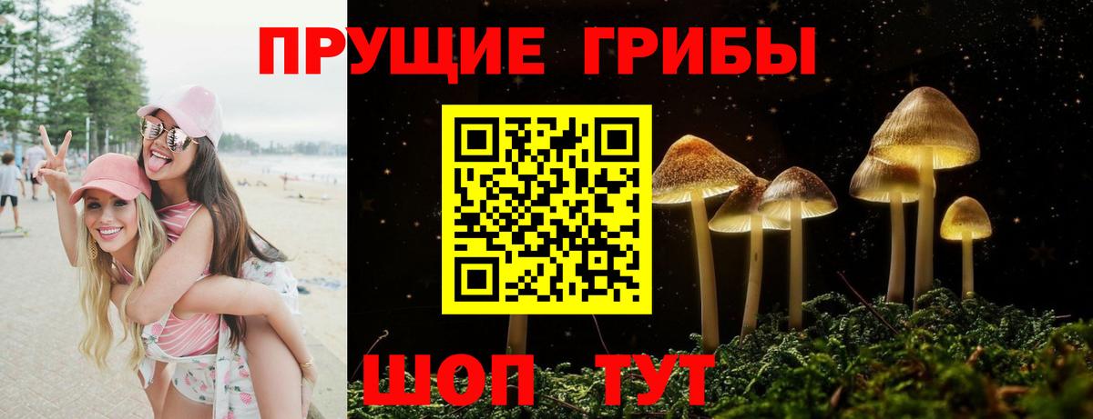 Мурманск  Псилоцибиновые грибы Psilocybine cubensis  Вход с VPN 